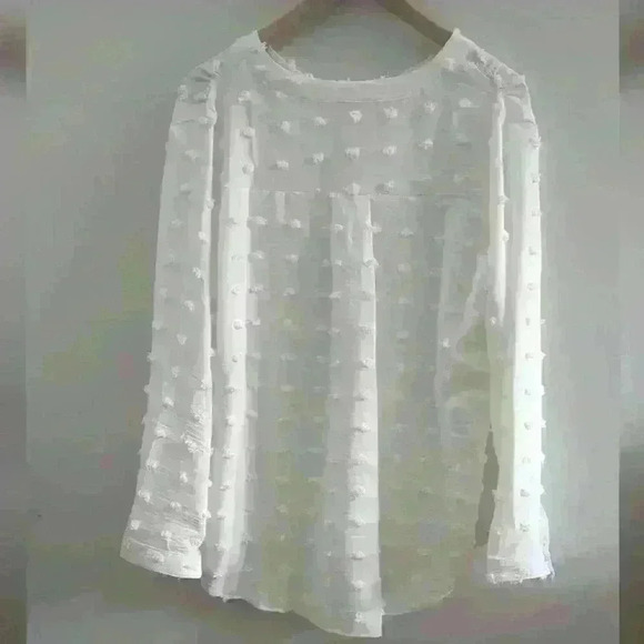 🌴2/$25🌴AMAZON | Women's White Swiss Dots V-Neck Long Sleeved Lightweight Top - Picture 3 of 3